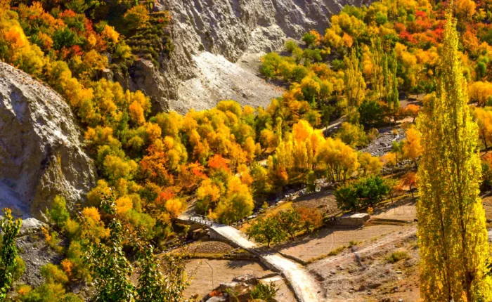 Vibrant autumn foliage in Hunza, Gilgit-Baltistan, Pakistan, with majestic mountains in the background, perfect for Travel Hunza enthusiasts.