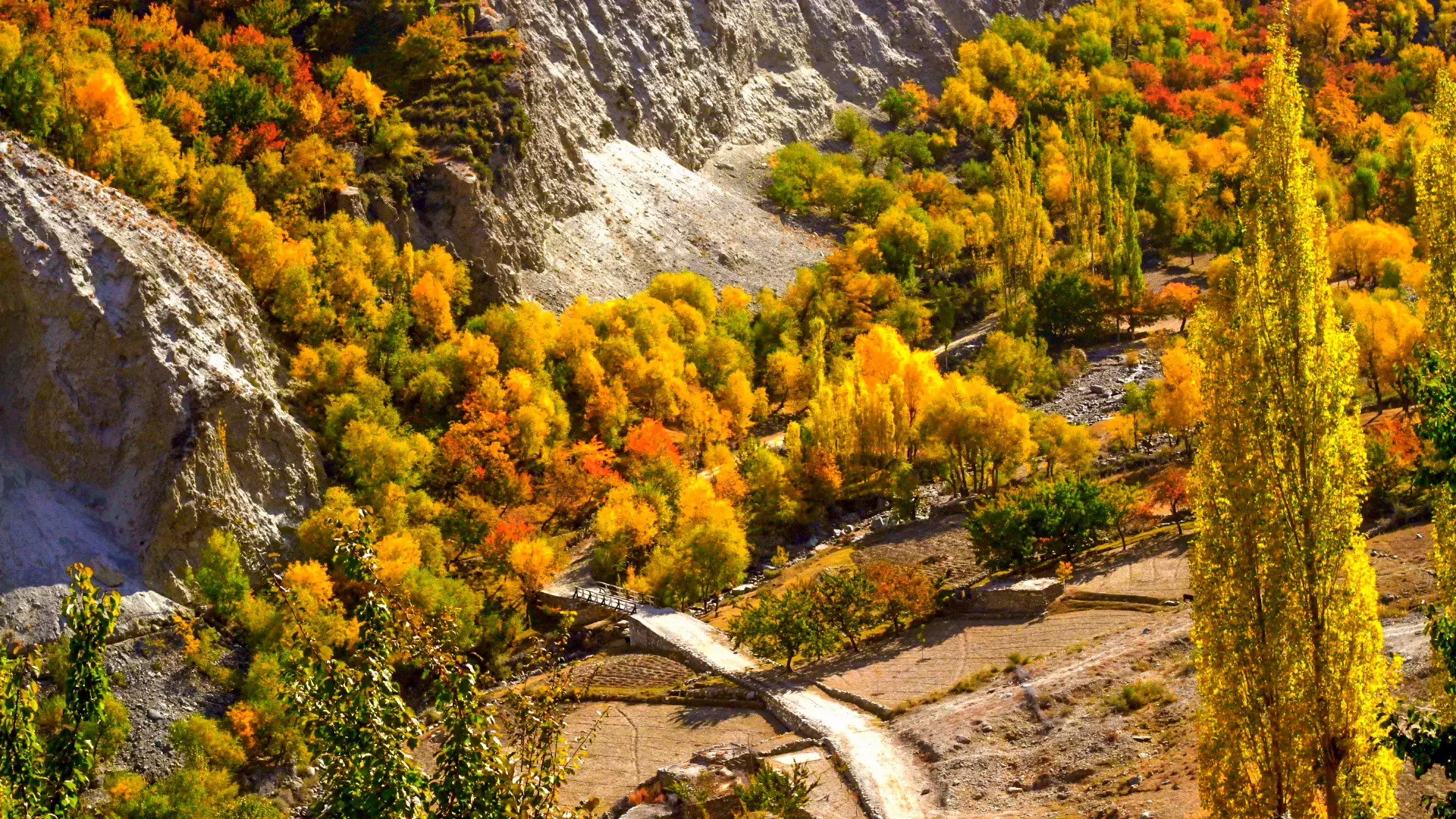 Vibrant autumn foliage in Hunza, Gilgit-Baltistan, Pakistan, with majestic mountains in the background, perfect for Travel Hunza enthusiasts.