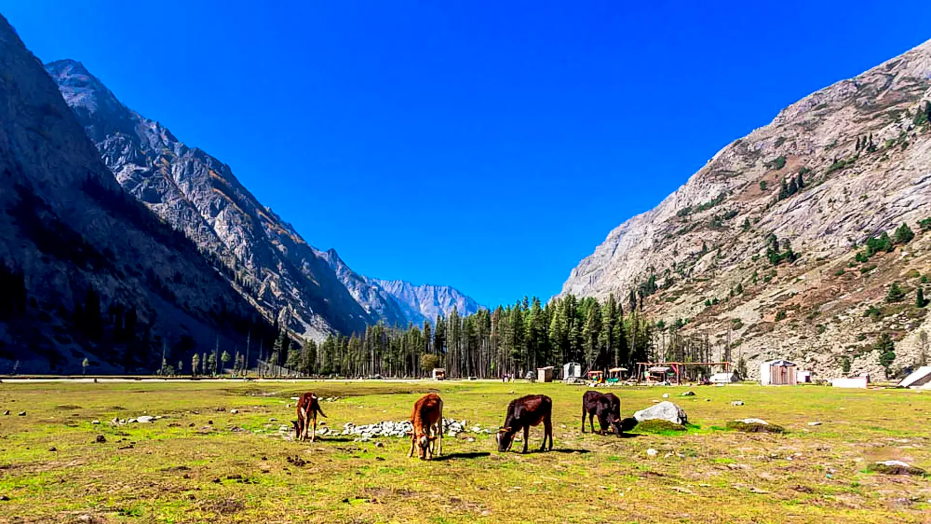 Majestic view of Mahodand Lake in Kalam Valley, Swat.