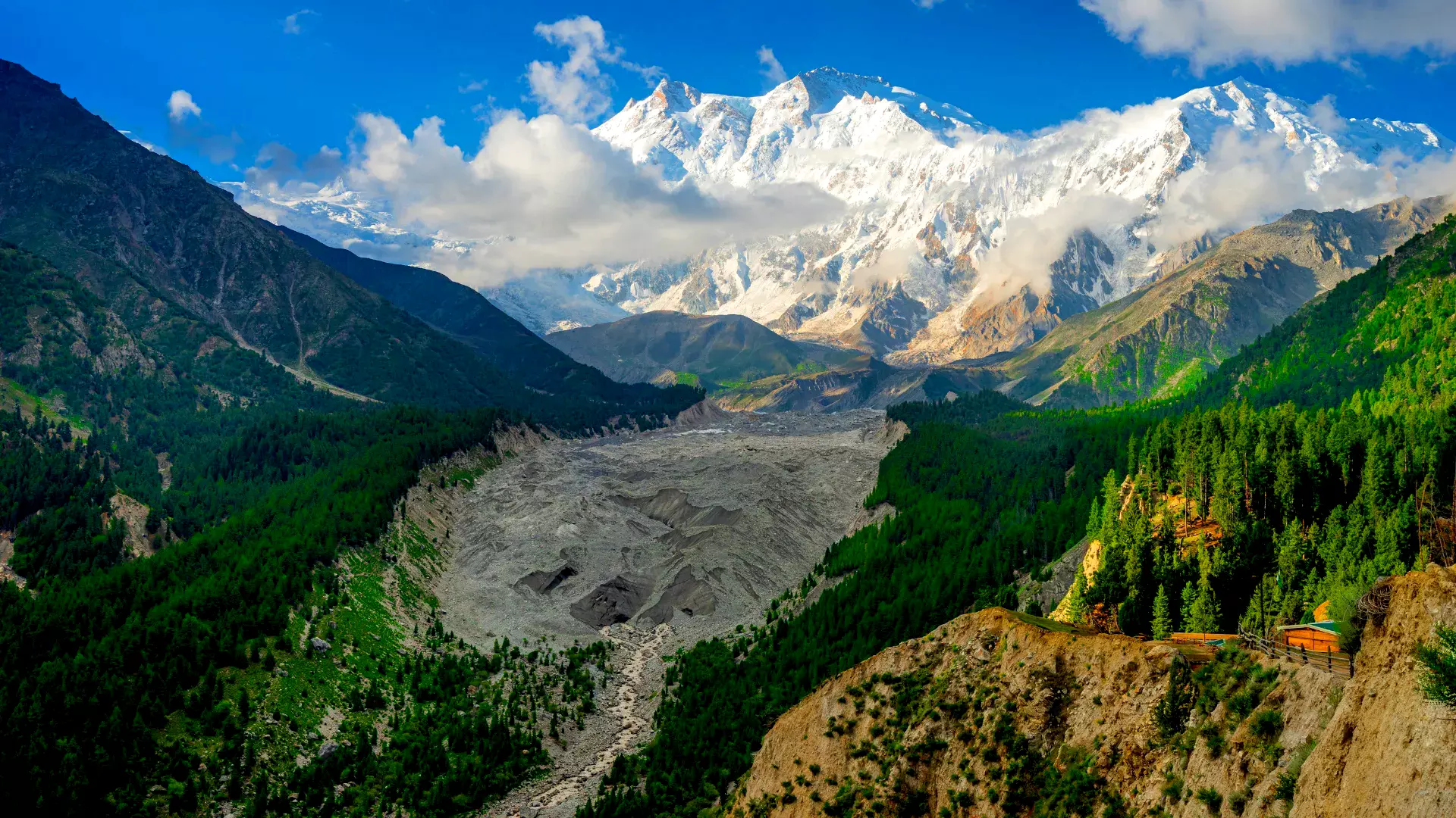 Fairy Meadows: Gateway to Nanga Parbat's Majesty