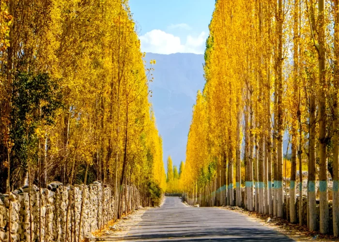 A panoramic view of Khaplu Valley nestled amidst the Karakoram Range.