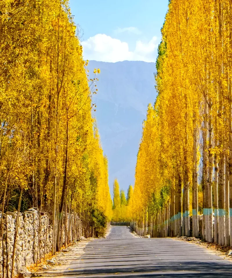 A panoramic view of Khaplu Valley nestled amidst the Karakoram Range.