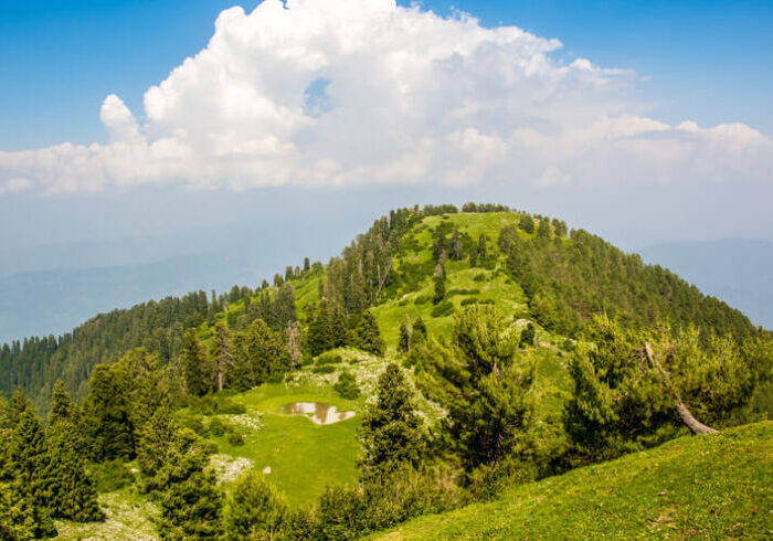 Nathia Gali Tour Packages