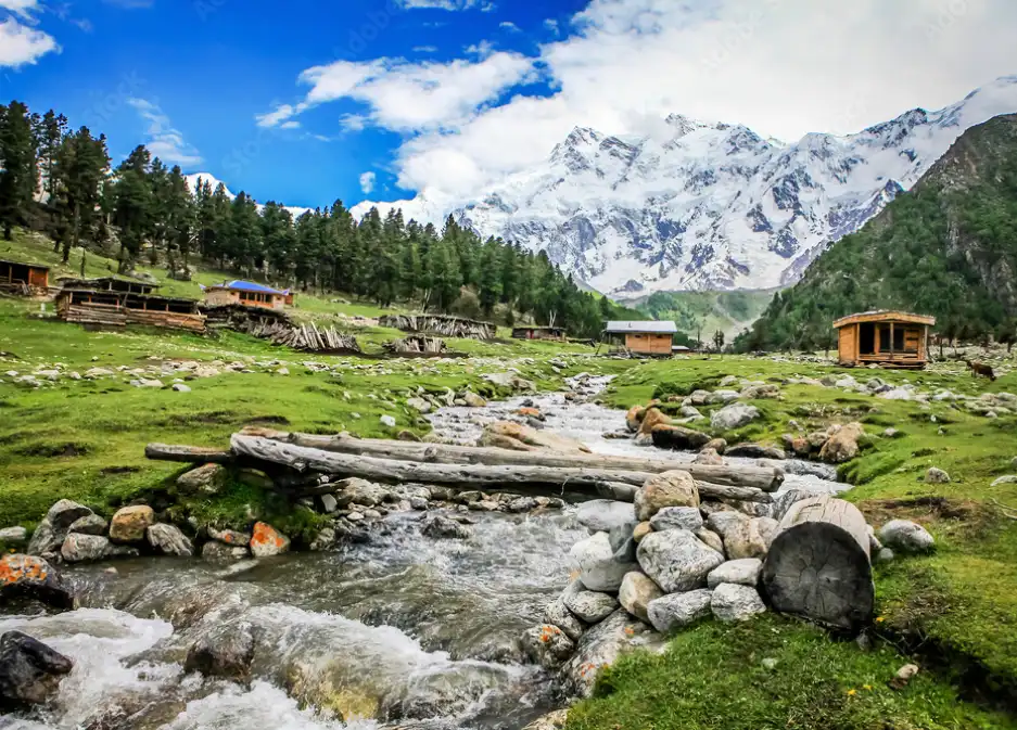 Fairy meadows