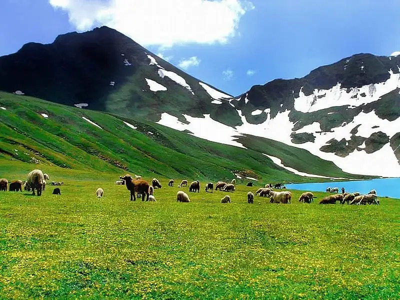 Dudipatsar lake