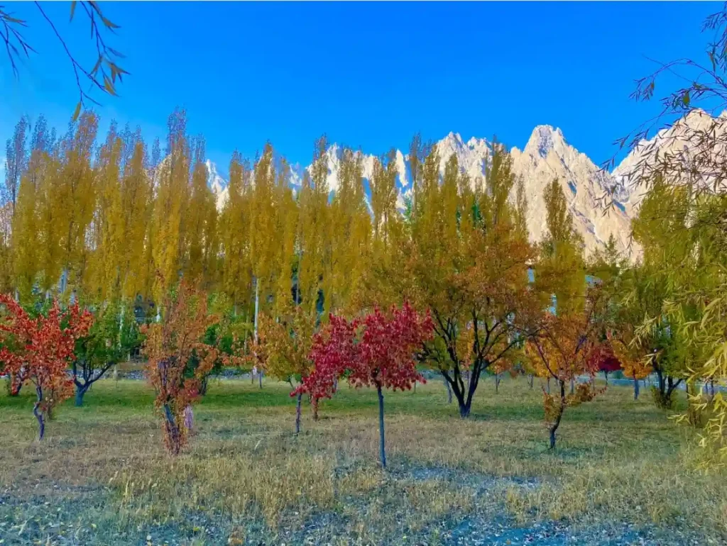 Passu cones hunza