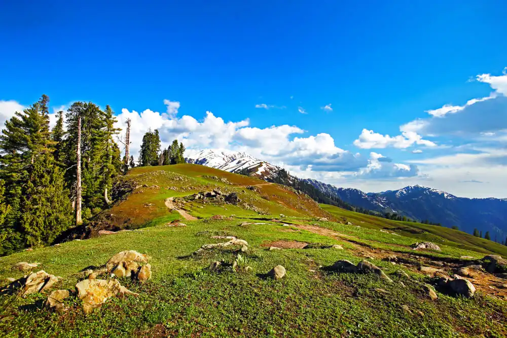 Shogran-siri-paye