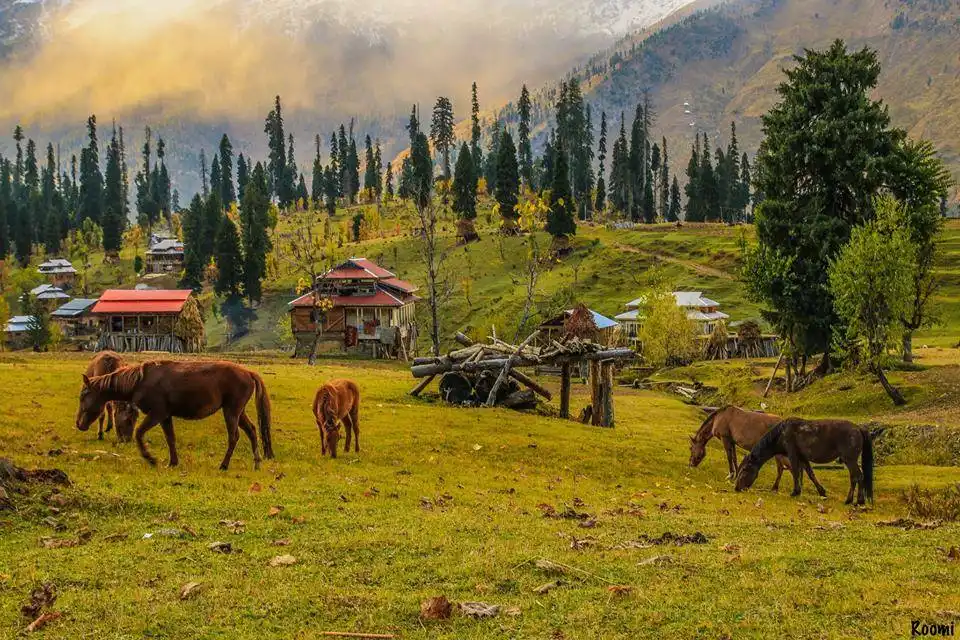 Arang kel neelum valley