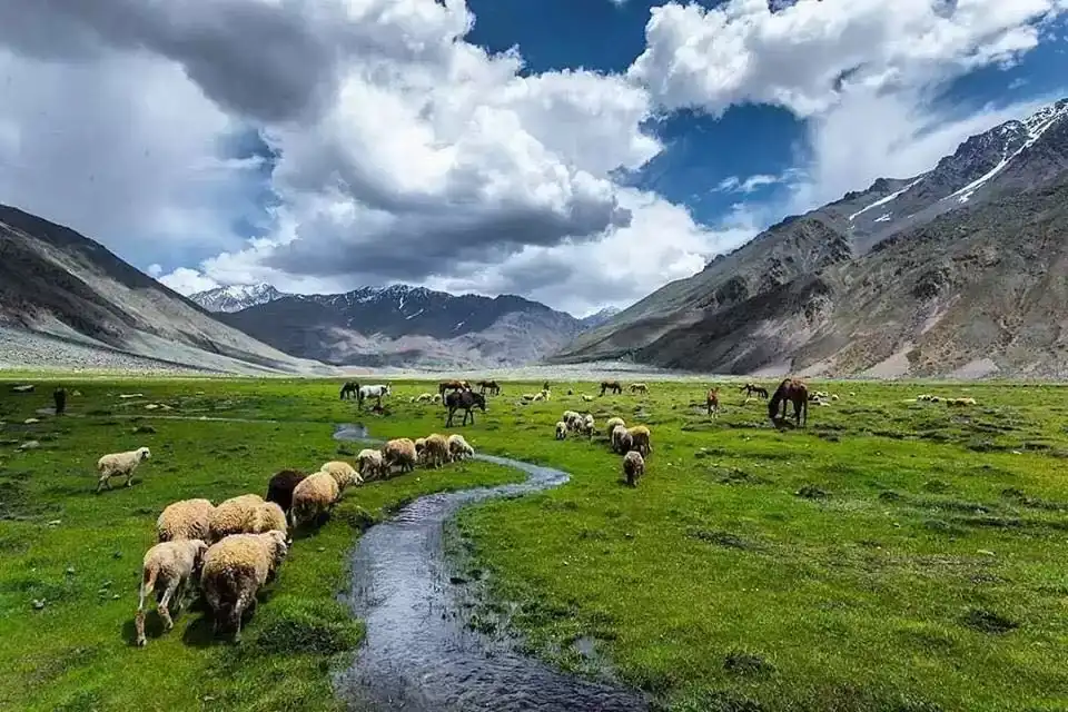 Deosai national park