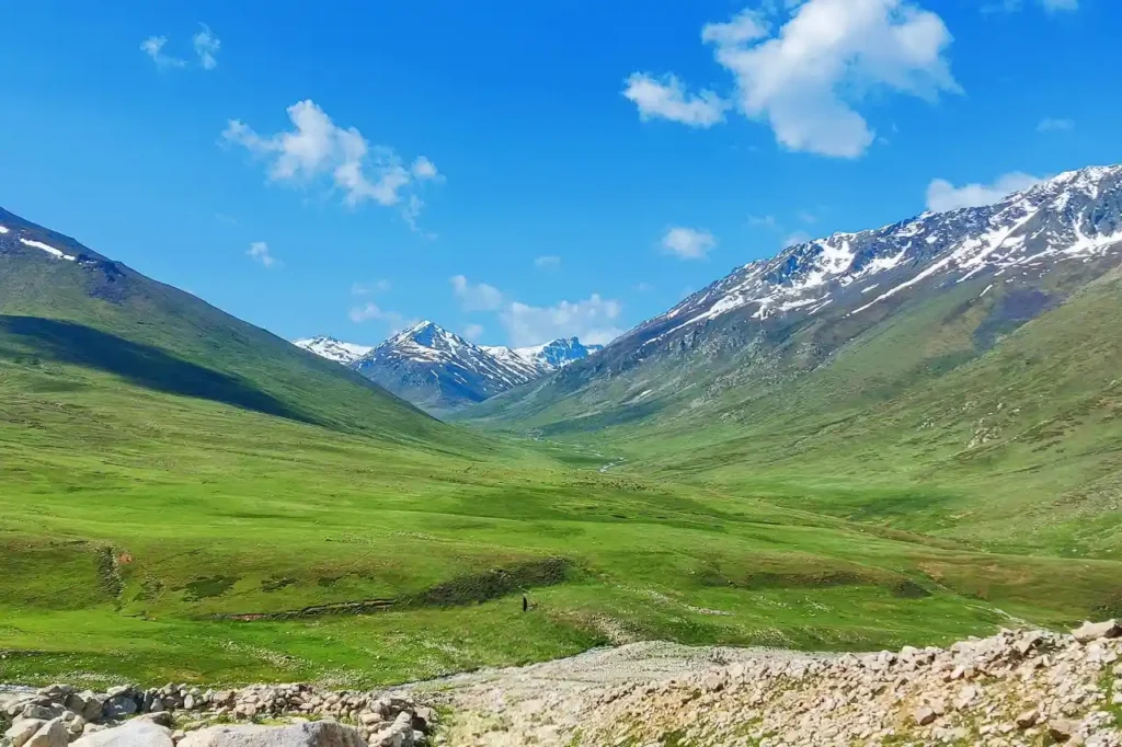 Deosai national park