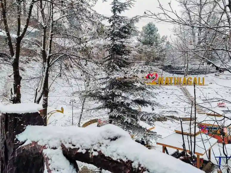 Honeymoon in nathia gali