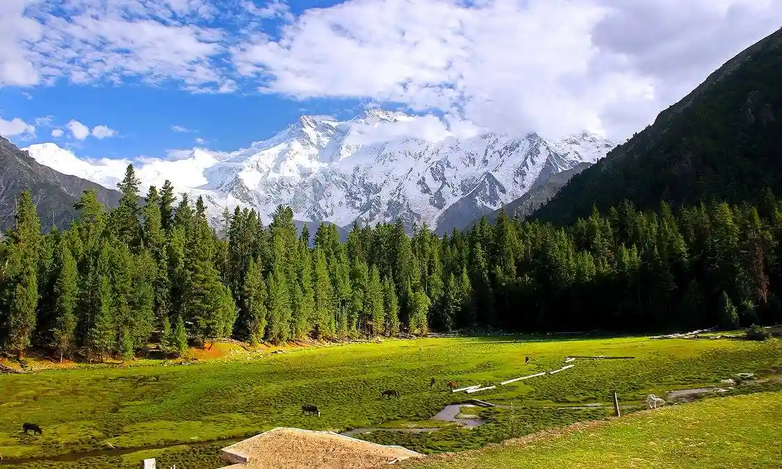 nanga parbat k2