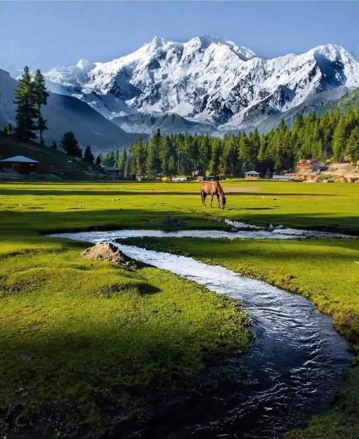 Nanga parbat