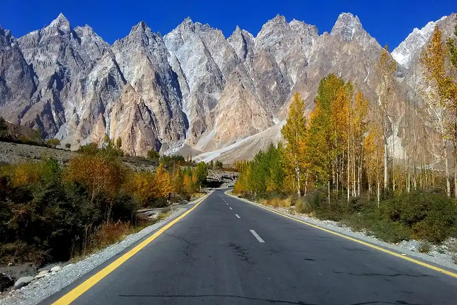 Passu cones