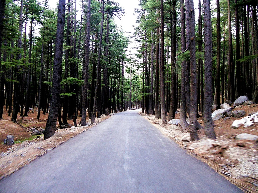 Ushu forest swat valley