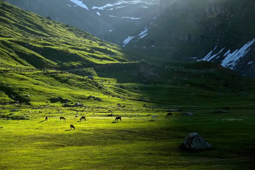 Shounter valley kashmir